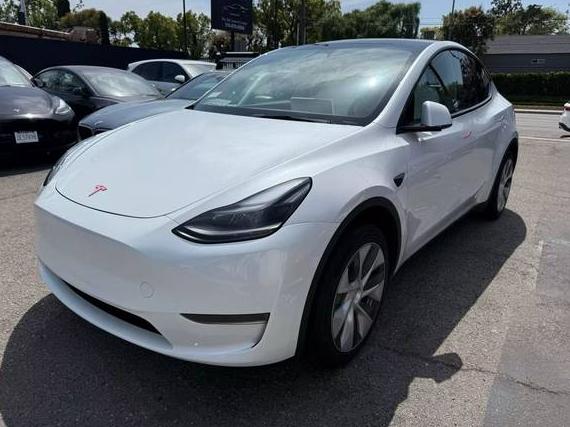 TESLA MODEL Y 2024 7SAYGDED9RF083060 image